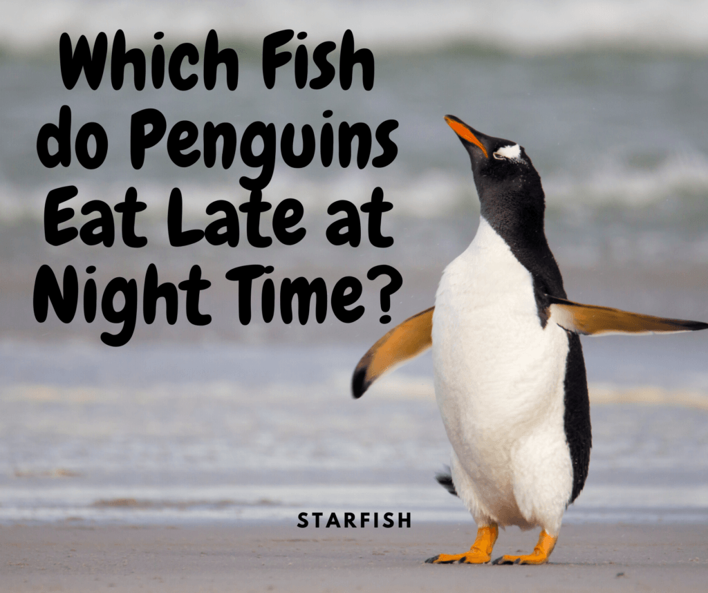 Funny Penguin Jokes