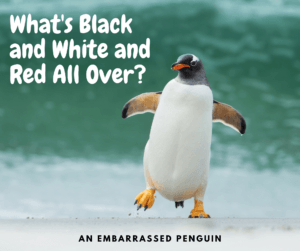 Penguin Jokes