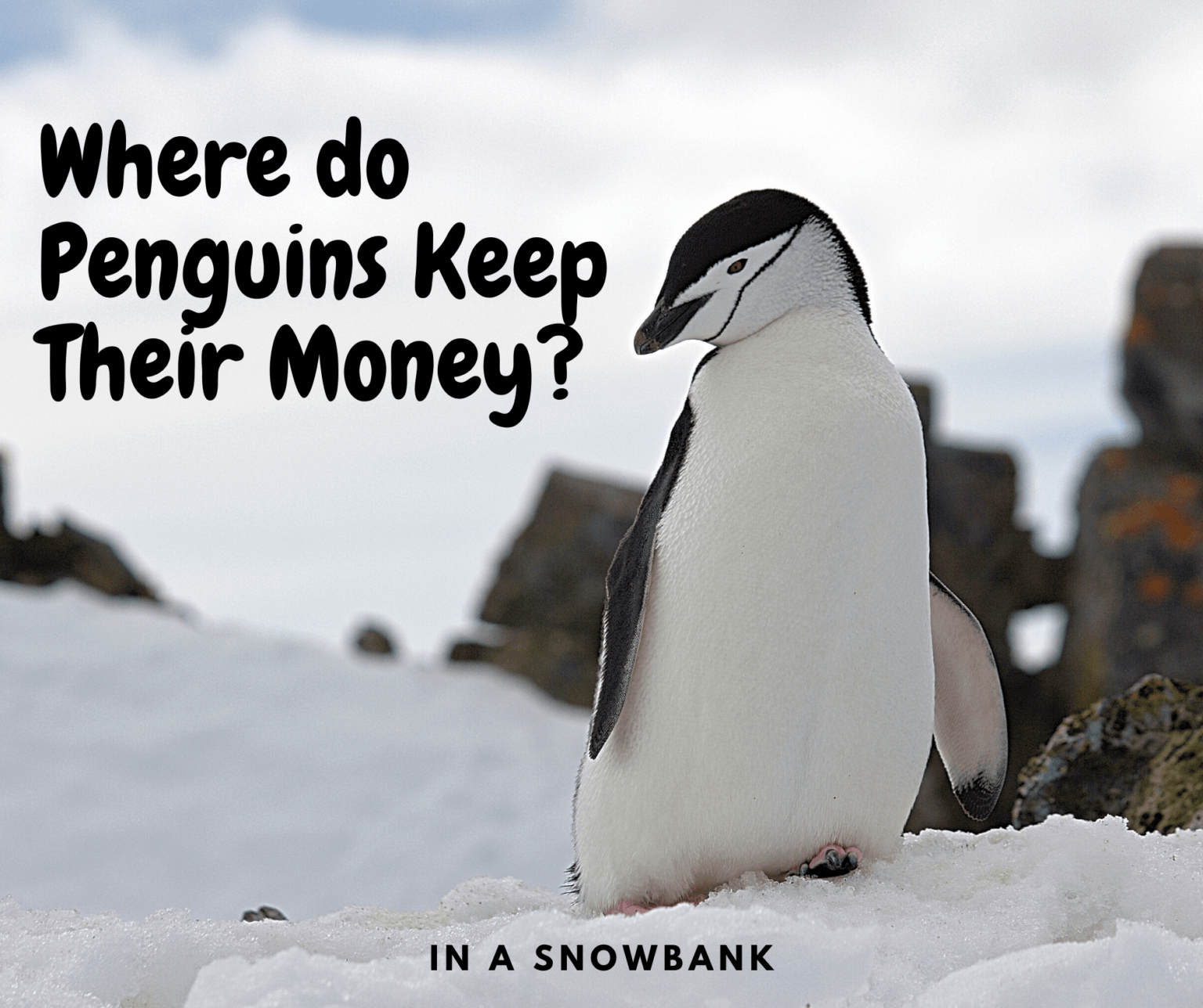 best-funny-penguin-jokes-for-children-i-love-penguins